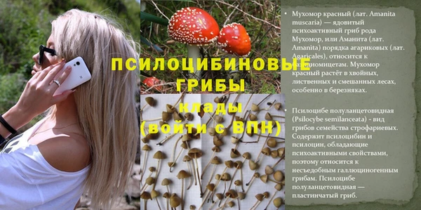 mdpv Волоколамск