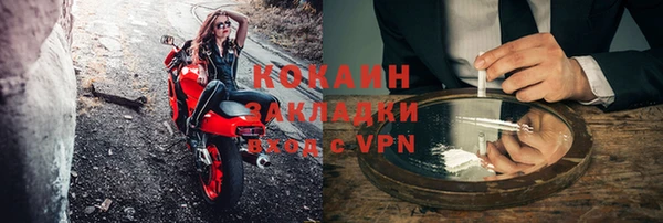 спиды Тайга